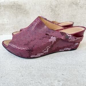 Tsubo Ovid Snake Print Wedge Platform‎ Mules Size 8.5 Burgundy Purple Reptile